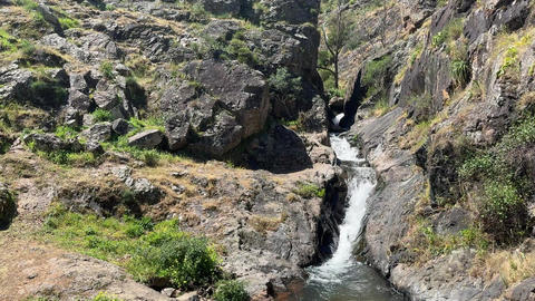 View of a beautiful and healthy forest river in the Monchique region