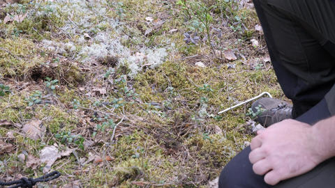 Person Kneeling on Mossy Forest Ground During Outdoor Activity