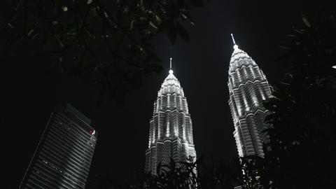 Petronas Twin Towers with leaves in foreground at night
