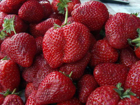 Lush close up showcases pile of deep red, heart shaped strawberries