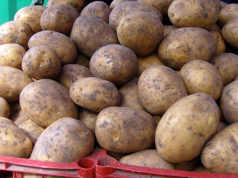 Heap of raw, unpeeled potatoes rests in a red plastic crate at a market