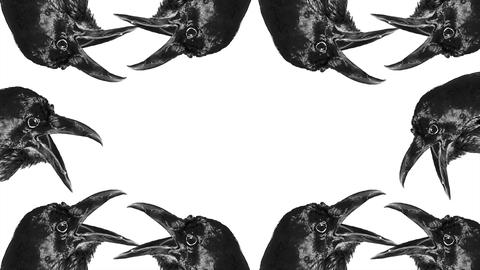 Blank frame with black crow motif borders seamless animated video