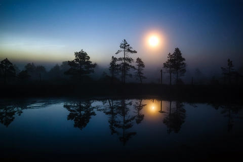 Moon reflecting on a peaceful foggy forest lake at night