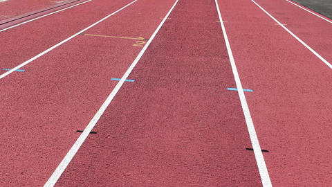 Festivaler och evenemang・Sport