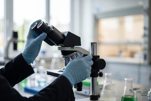 Hands adjusting microscope in biological research laboratory
