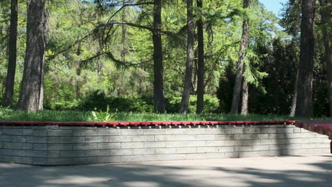 Skateboard tricks shine in the sunlit park with vibrant trees