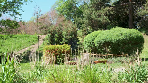 Enjoying a sunny day in a lush garden filled with vibrant greenery
