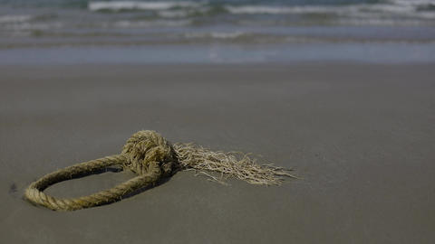 Stile di vita e hobby・Natura