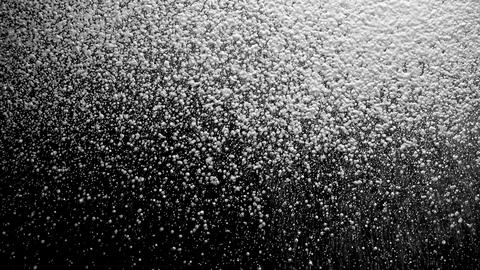Dense spray of white foam and liquid droplets on a black background