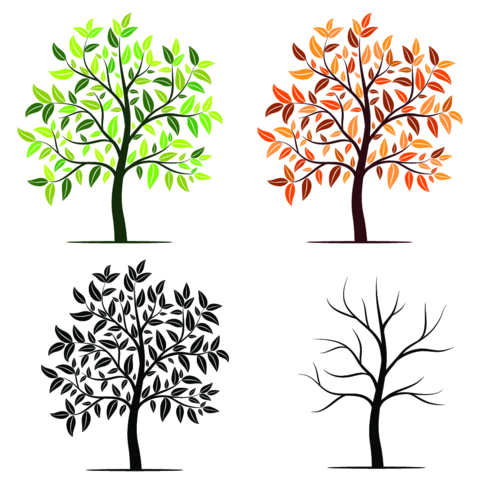 Seasons of tree vector background