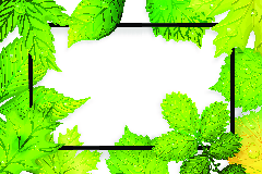 Green leaves frame