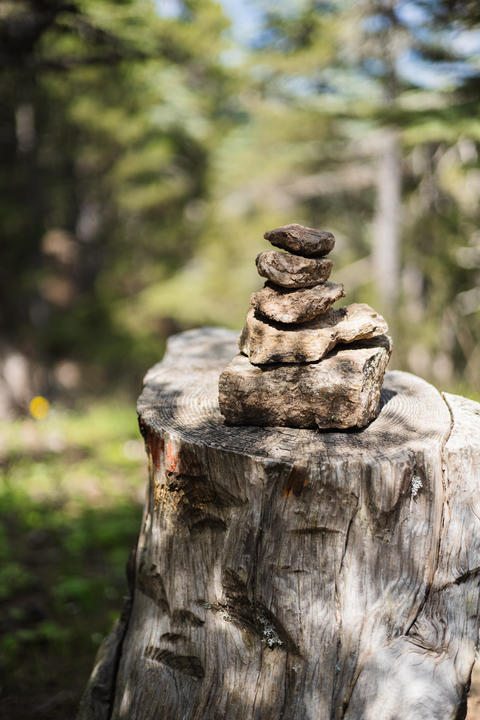 A stack of smooth stones balanced on a wooden stump in a forest setting