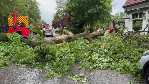 Emergency service crew cleaning up fallen tree that blocked city street after night storm
