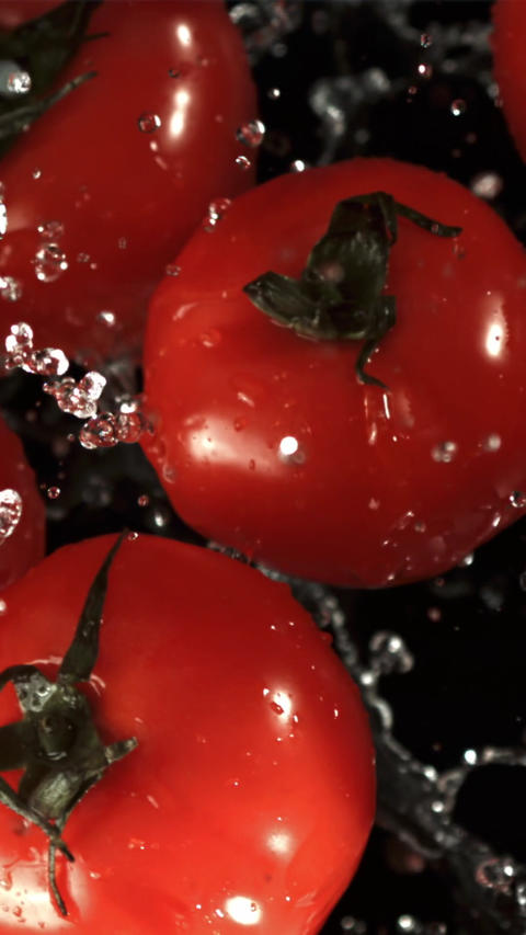 Tomatoes with water drops. Filmed is slow motion 1000 fps