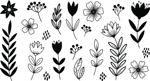 Collection of hand drawn floral elements including flowers leaves and branches in doodle