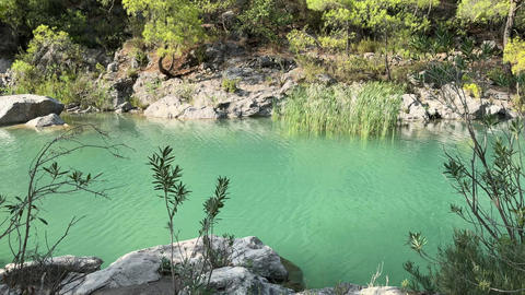 Flowing water in the river. Mountain river with blue water, river bank in summer