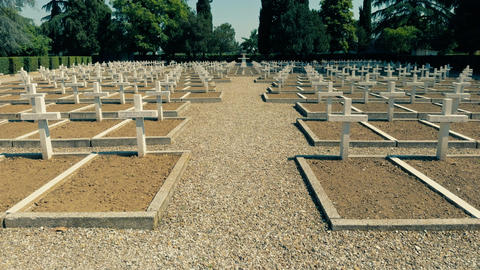Memorial Day Remembrance Among Cemetery Grave Markers