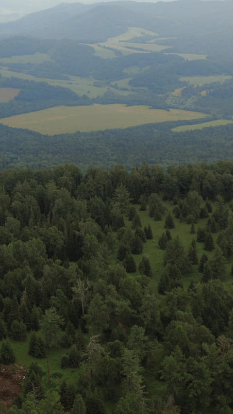 Aerial view from Mount Manzherok over forest and fields in Altai Mountains
