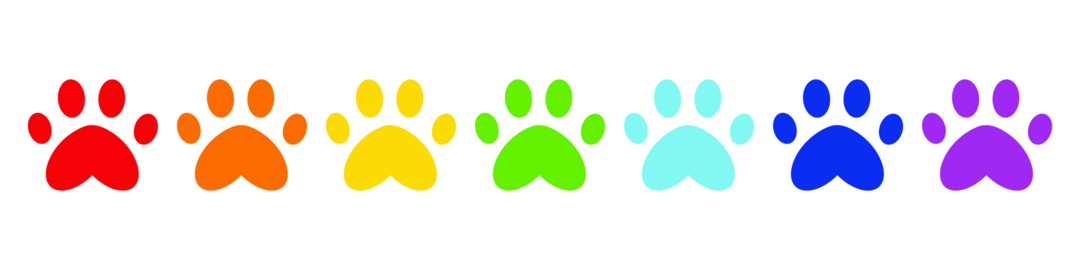 Rainbow paw print icons set colorful animal footprint symbols collection cute pet tracks in bright