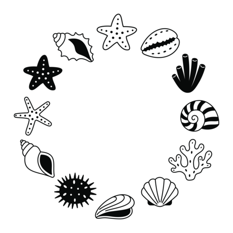 Seashell and starfish icons set marine collection ocean beach elements in circular composition