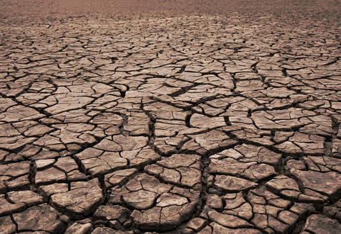 Cracked earth soil background