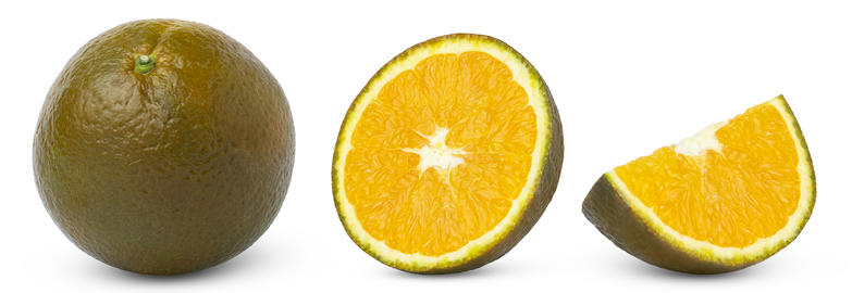 Chocolate navel orange sweet fruit set. Half of brown orange and slice of chocolate navel orange