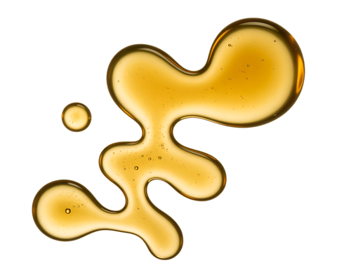 A close up macro photograph of golden ho J5yLFdT1XrWfckWDYAZqVg dQCTD0kFQIKUAwxaUuYDNQ hd