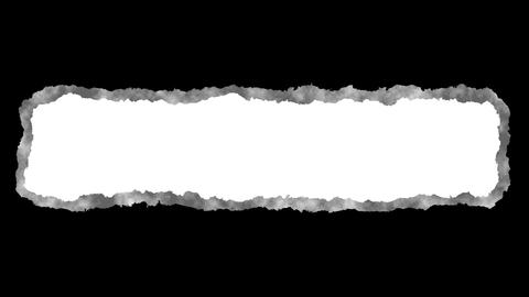 55205249