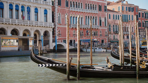 Gondolas Moored in Venice Lagoon with San Giorgio Maggiore in Background