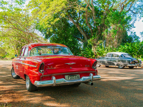 Vintage turquoise car parked under trees