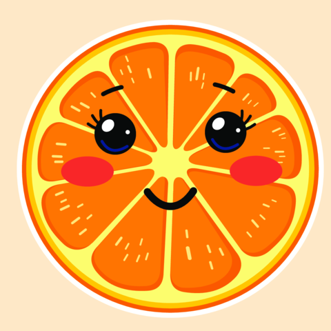 Cute Orange Slice Character