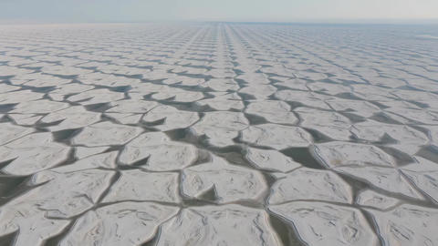 Cracked dry salt flat stretching to horizon in arid landscape