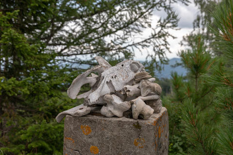 Animal skull and bones on stone pedestal at Manzherok Mountain viewpoint