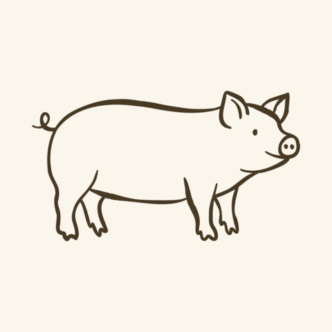 Hand drawn pig doodle illustration in naive line art style