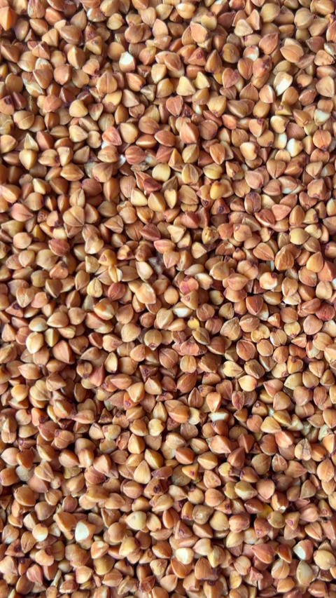 Vertical Flight Over Buckwheat Grains Field Texture Background