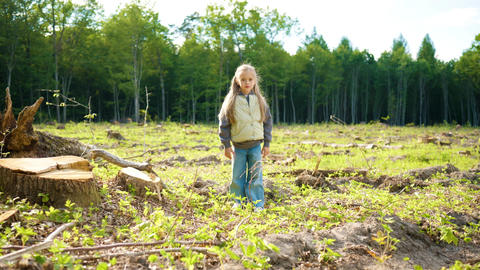 Little Caucasian girl standing on deforested land and looking at camera. Child witnessing