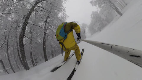POV skier descending steep birch forest slope in blizzard powder conditions