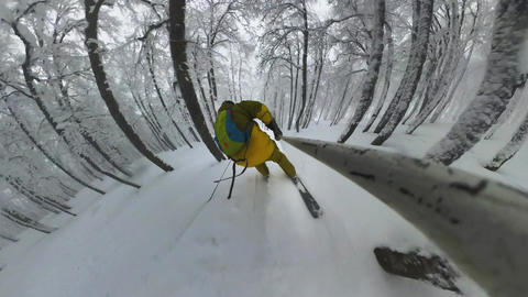 Skier descending snowy forest trail Hokkaido Japan first person perspective