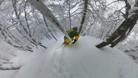 Skier ascending birch forest Bjelasnica Bosnia Herzegovina Balkan ski touring