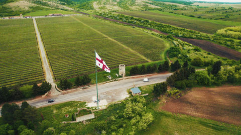 Georgian national flag waving over a rural vineyard landscape