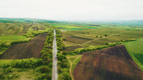 Aerial view of a car driving on a rural road