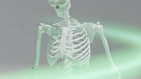 [3D Skeleton Correction] Pelvis & Spine Realignment Camera Scan
