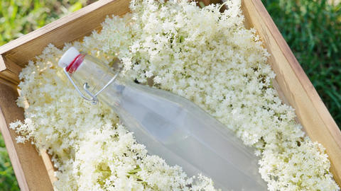Homemade Elderflower Lemonade Bottle Lying in Rustic Wooden Box