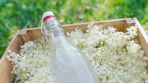 Bottle of Elderflower Lemonade in Wooden Box With Fresh Blossoms. natural summer composition