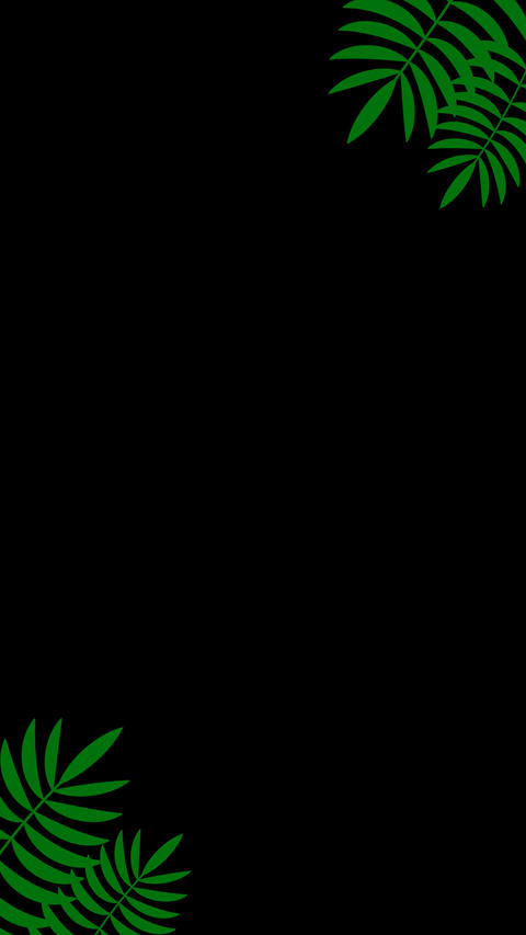 Tropical green palm leaves corner frame on transparent background with copy space for overlay