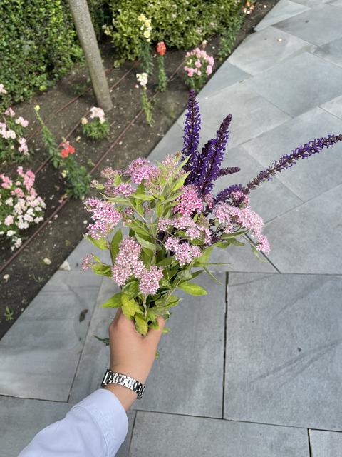 Hand holding fresh wildflower bouquet photo with pink and purple flowers on city sidewalk near