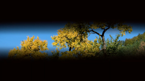 Blink Transition | Final Cut Pro Templates