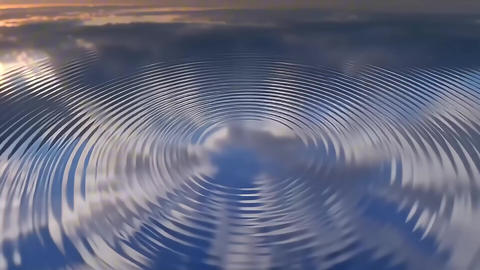 55463227
