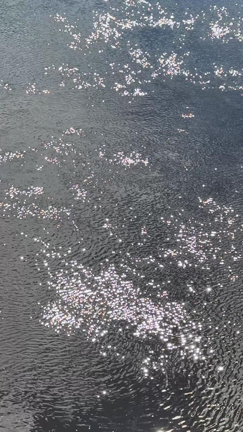 Bright sunlight reflecting on a water surface. Glowing endless calm water surface ripple smooth