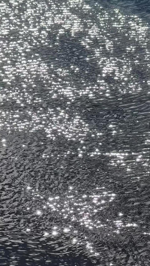 Bright sunlight reflects off the surface of the water. A sparkling, endless expanse of water